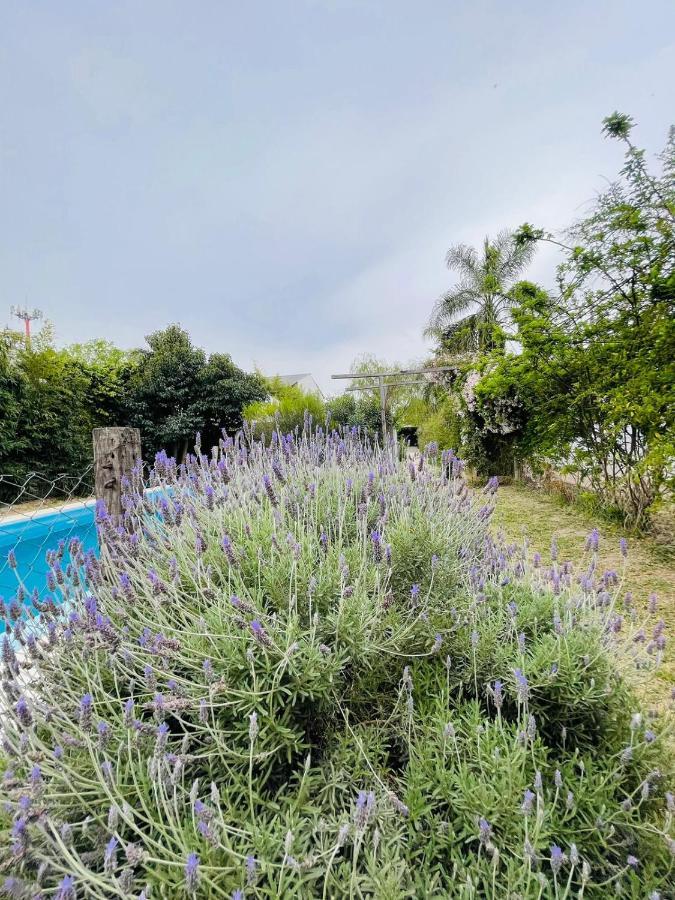 Cabana La America Villa เอเซย์ซา ภายนอก รูปภาพ